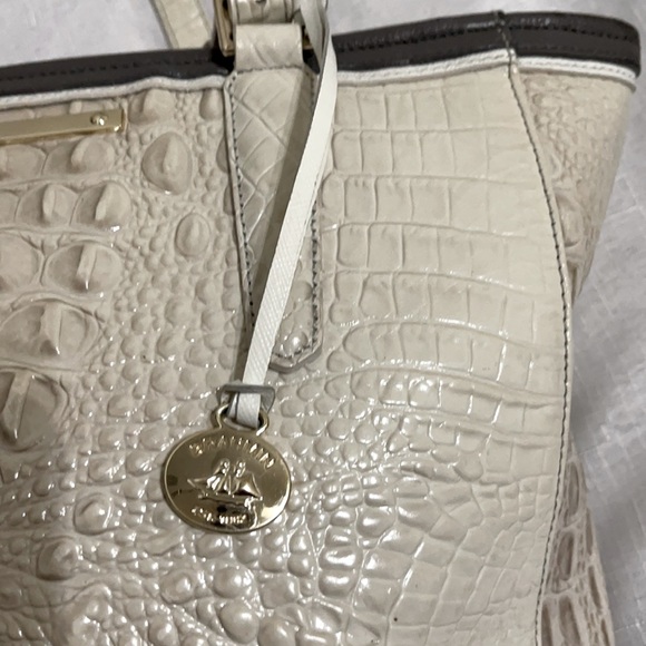 Brahmin - Picture 2 of 11